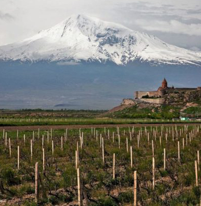 Wines of Armenia
