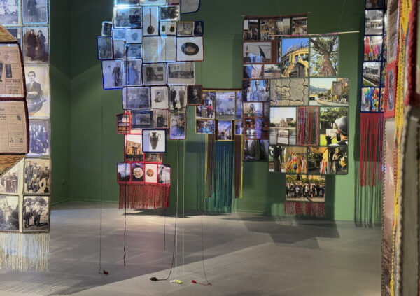 silvinia 2-e1739459453308